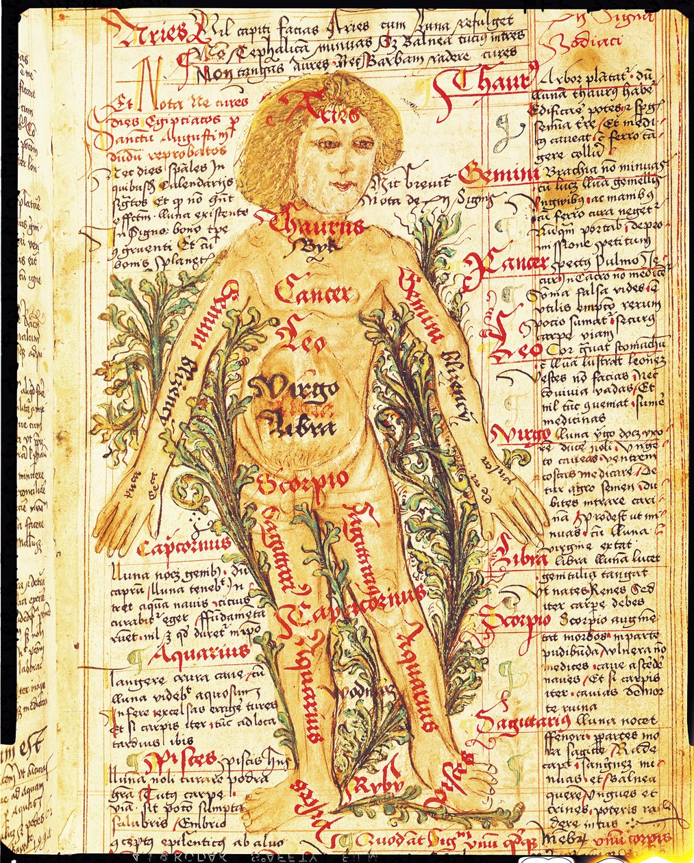 Influenza delle stelle sulle malattie del corpo umano, da Tractatus de Pestilencia da M, Albik