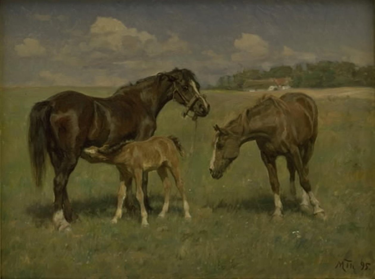 Tre cavalli in un campo da M. Therkildsen