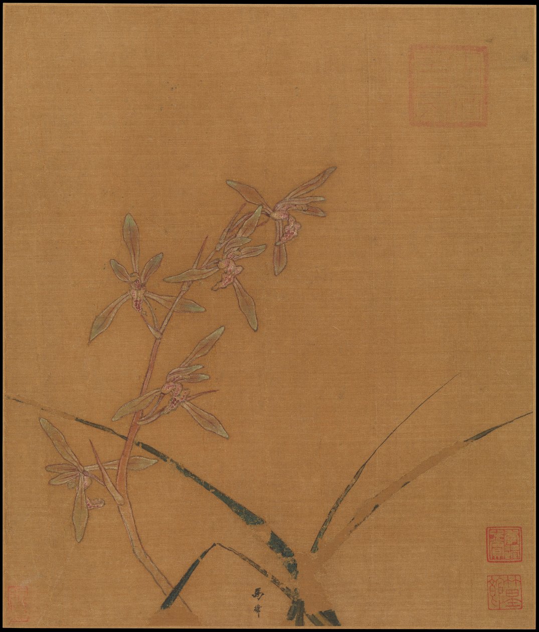 Orchidee, secondo quarto del XIII secolo da Ma Lin
