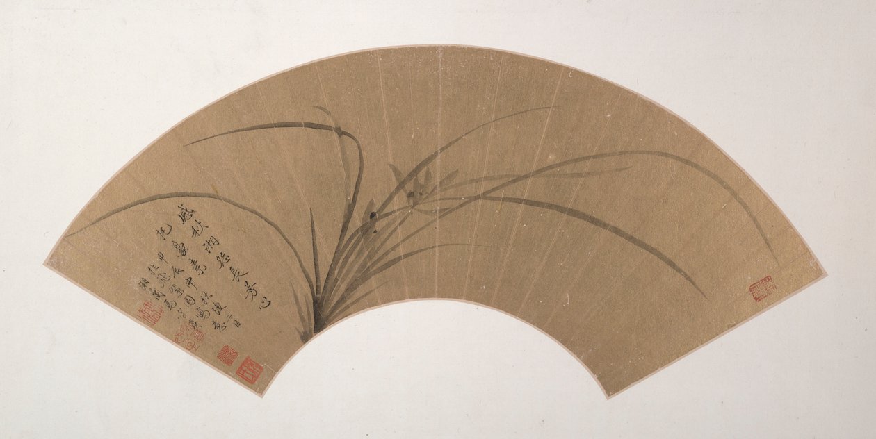 Orchidee da Ma Shouzhen