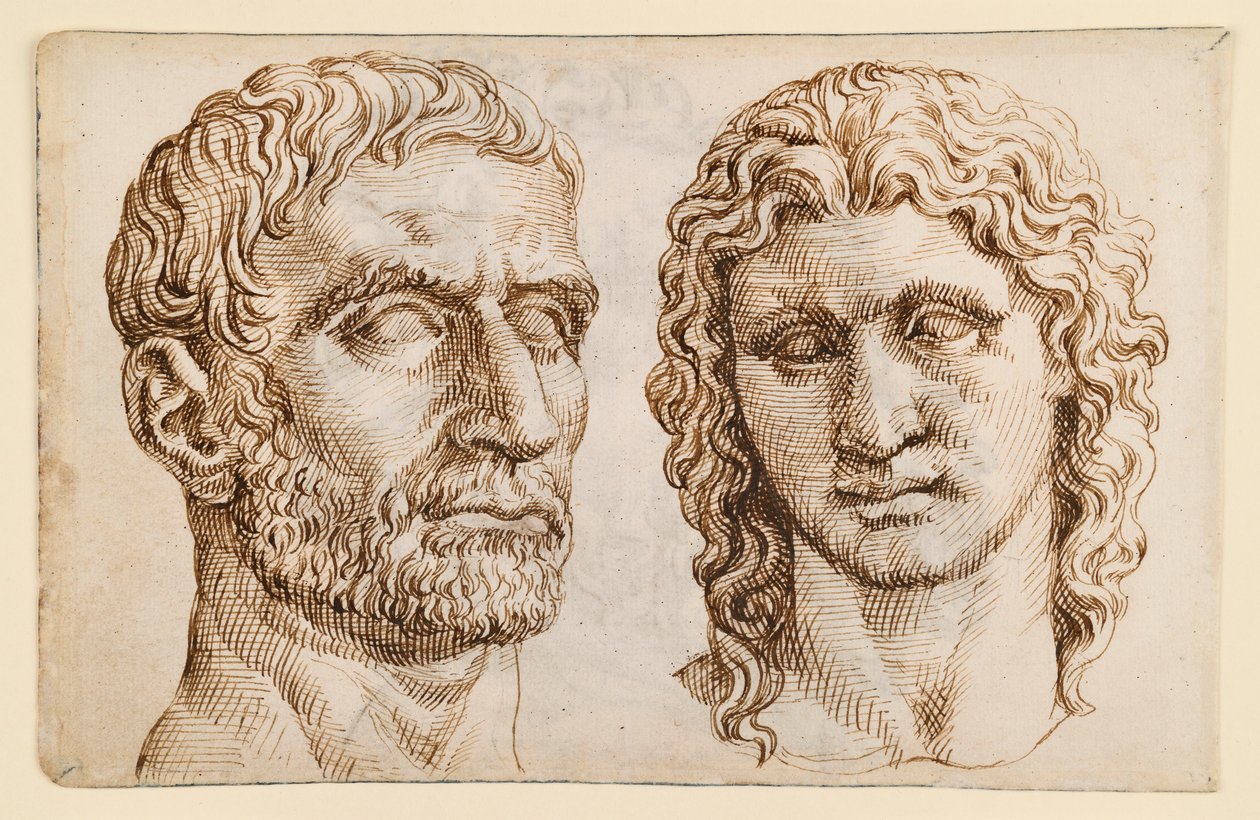 Testa di un uomo anziano, testa di un giovane da Maarten van Heemskerck