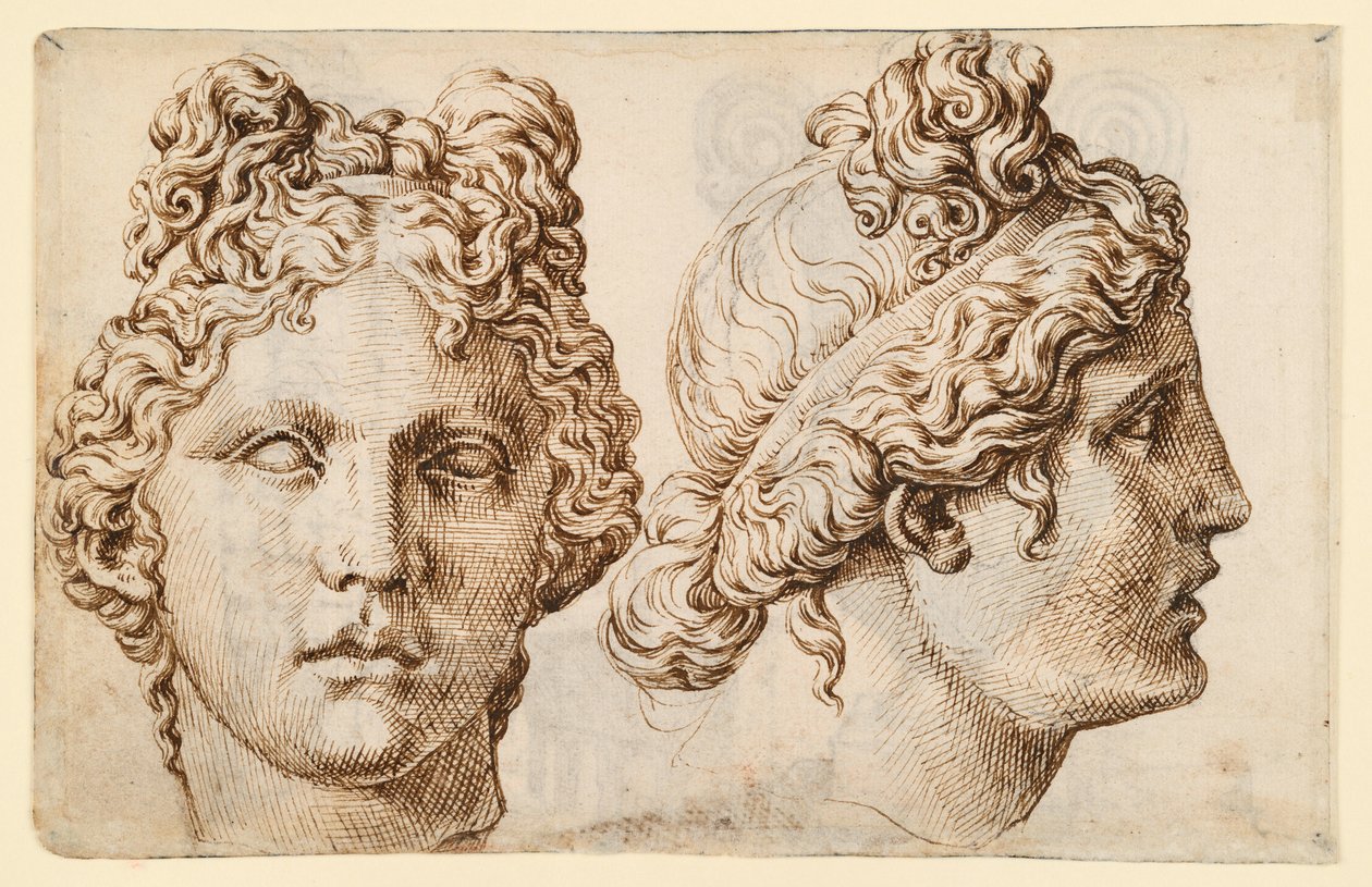 Due vedute di una testa antica da Maarten van Heemskerck