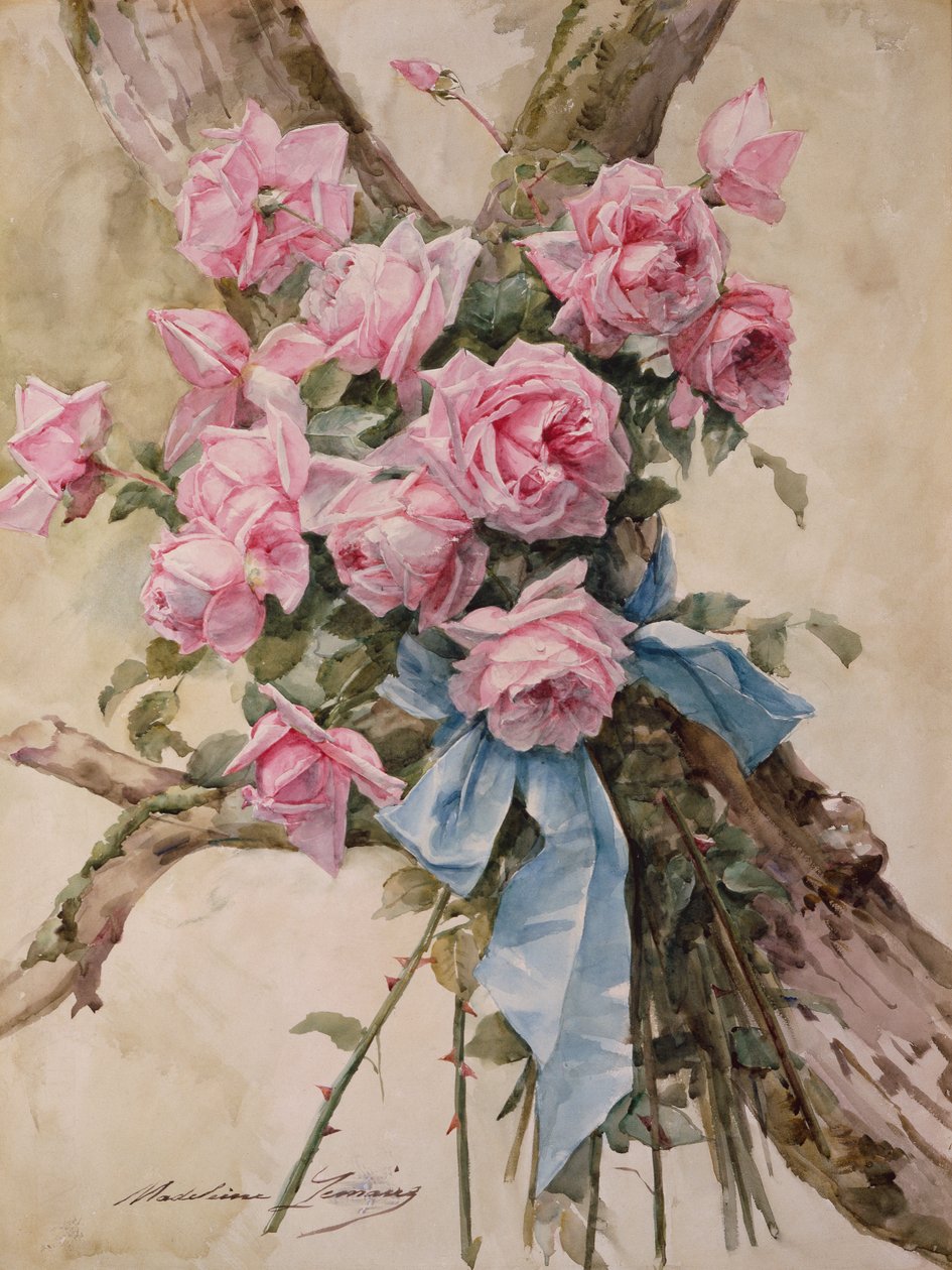 Rose da Madeleine Lemaire