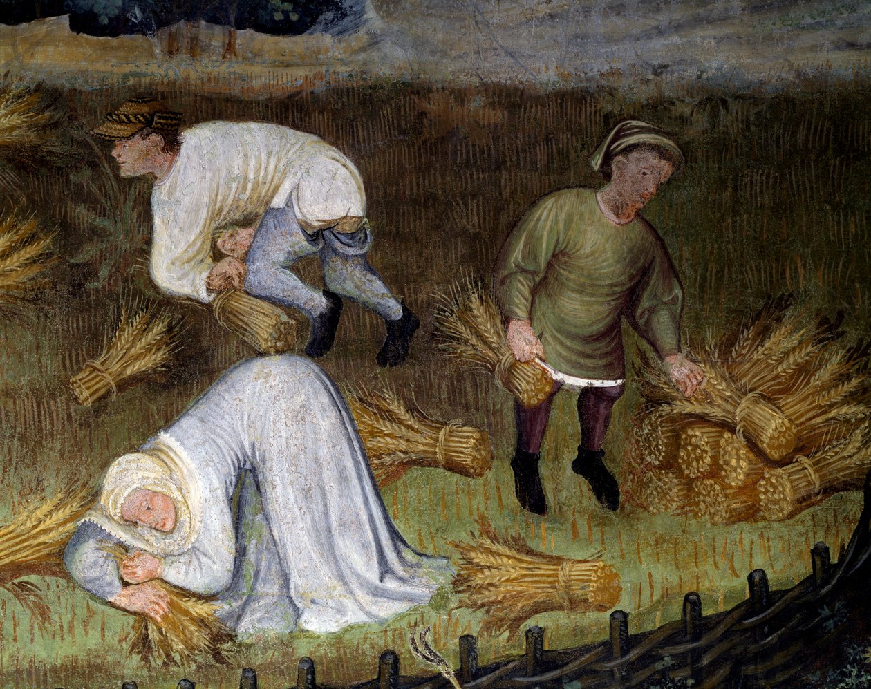 Raccolta del grano, dettaglio dal Mese di Agosto, Ciclo dei Mesi da Maestro (attr. to) Venceslao