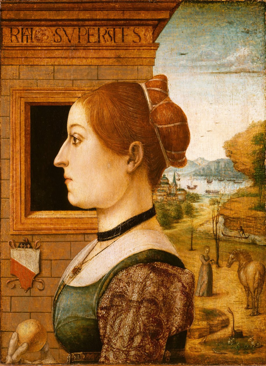 Ritratto di una donna, possibilmente Ginevra d