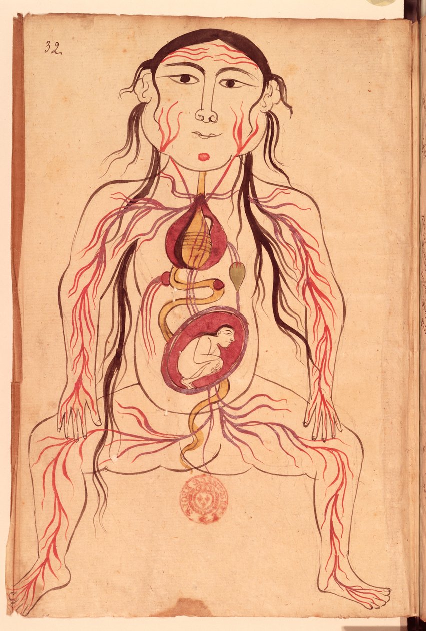 Ms Persan 151 Fol.32 Diagramma anatomico di una donna e del suo feto da Mansour b. Eliyas Chirazi