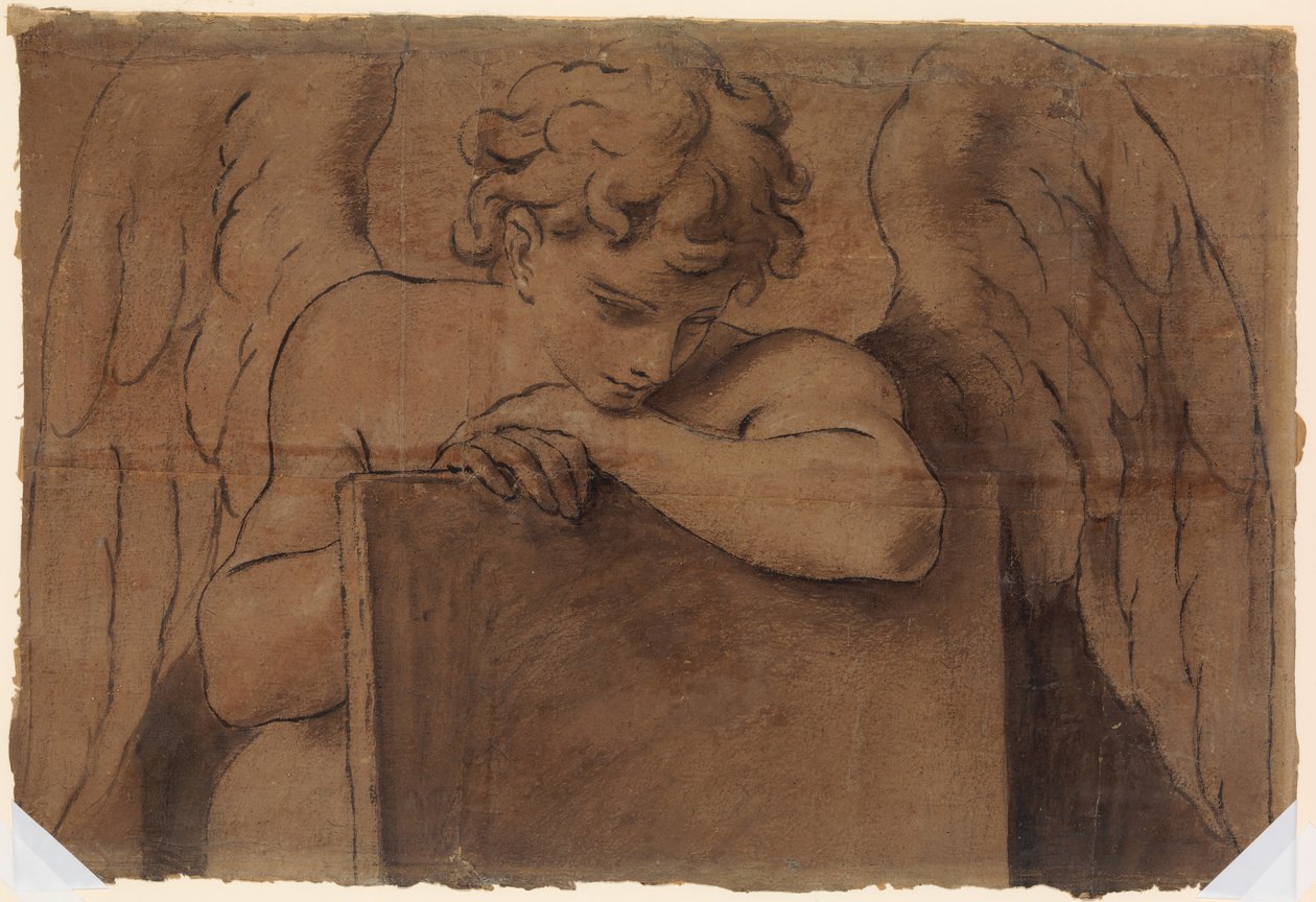 Frammento di cartone per angelo adolescente appoggiato a una tavoletta o libro chiuso da Marc Antonio Franceschini