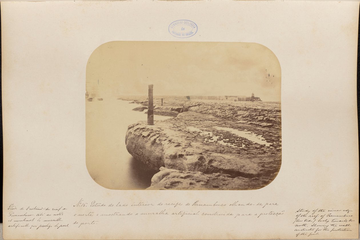 Studio del lato interno della barriera corallina di Pernambuco, guardando verso nord e mostrando il muro artificiale costruito per proteggere il porto. da Marc Ferrez