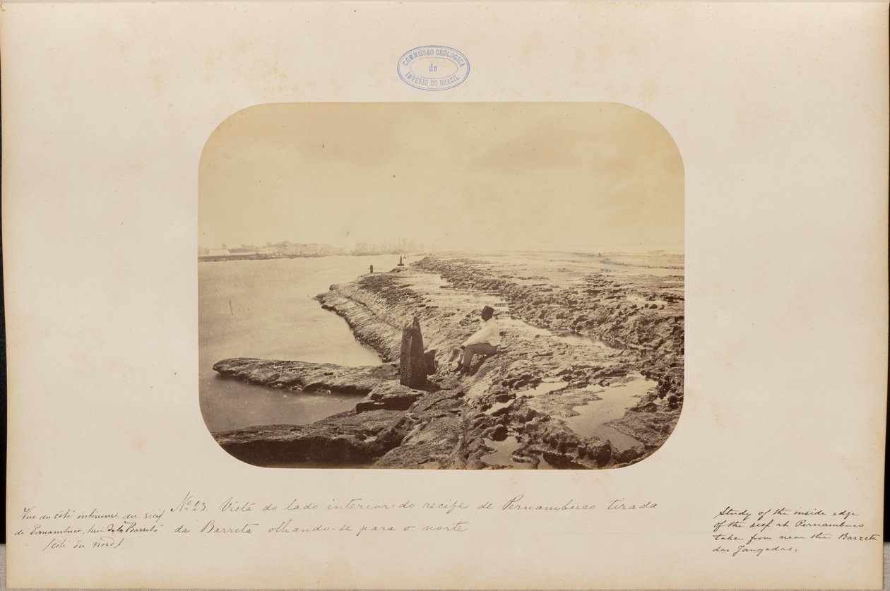 Vista del lato interno della barriera corallina di Pernambuco da Barreta verso nord da Marc Ferrez
