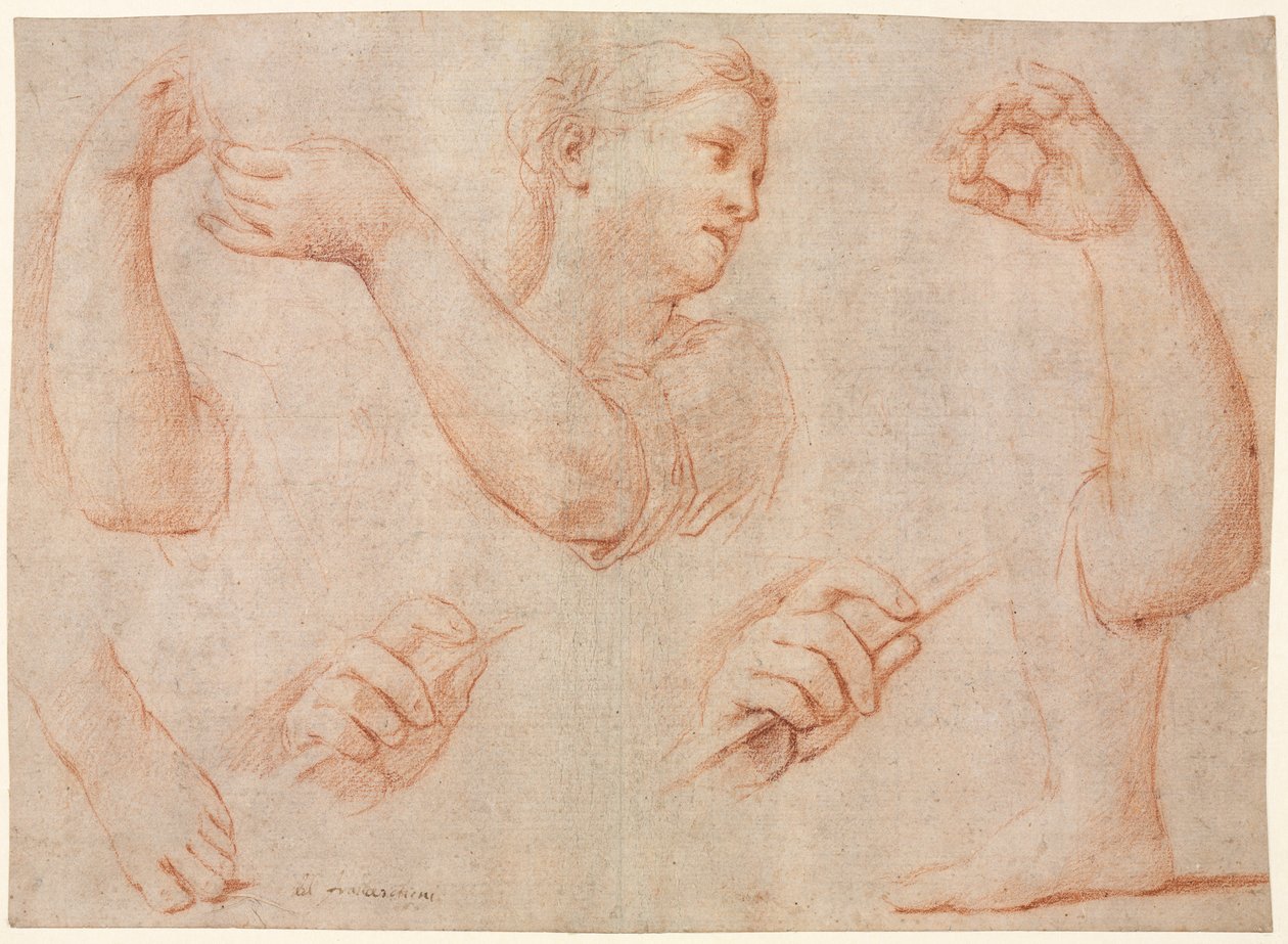 Studio di una giovane donna che suona un tamburello e studi di un braccio, mani e piedi (Studi per "Miriam che guida il coro delle donne che ringraziano per la sconfitta del Faraone") da Marcantonio Franceschini