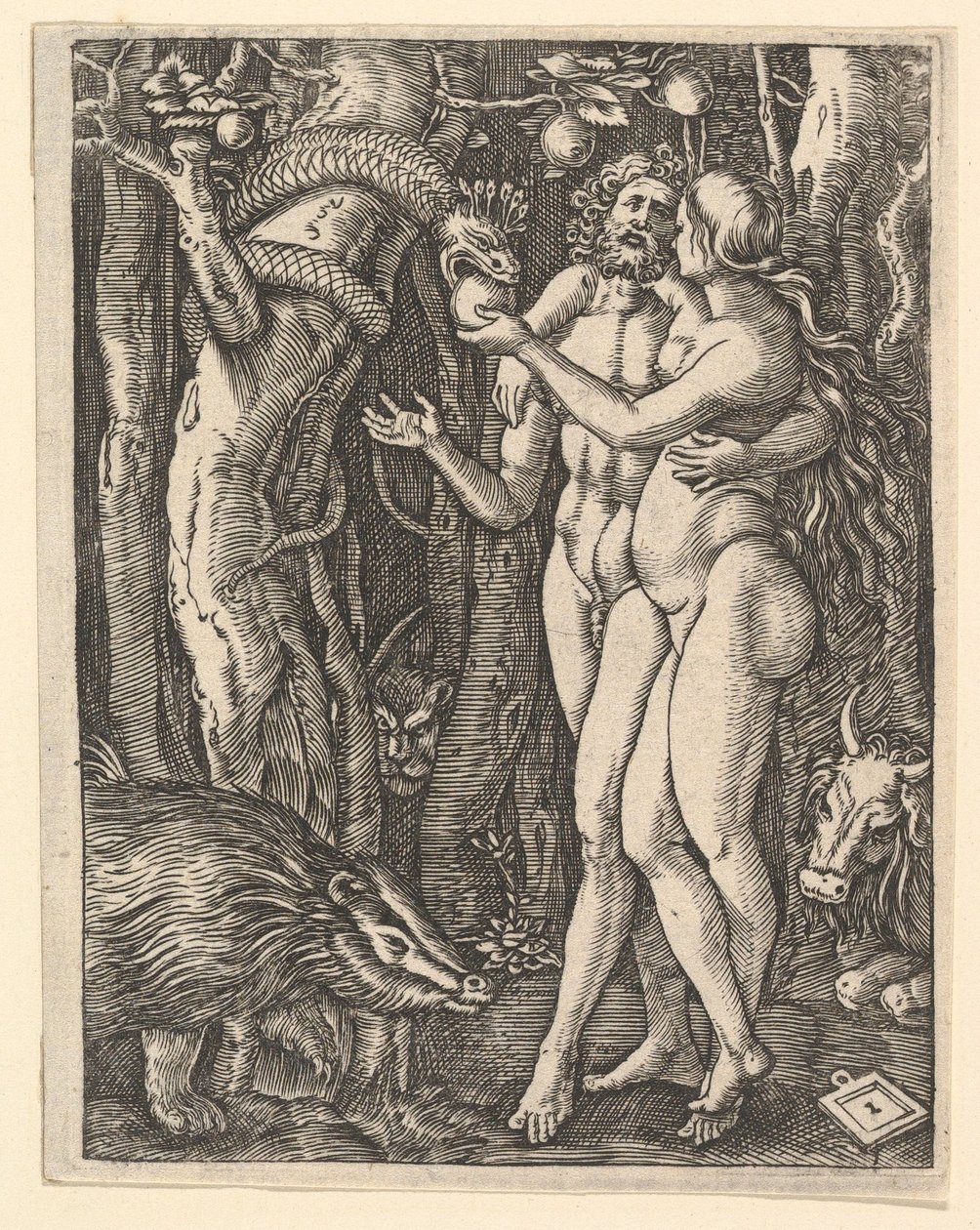 Adamo ed Eva con mela e serpente da Marcantonio Raimondi