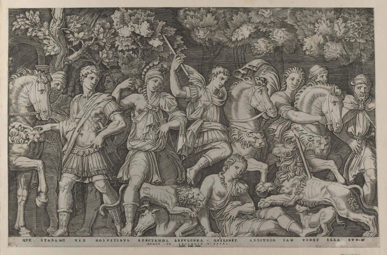 Speculum Romanae Magnificentiae: La caccia al leone, ca. 1500-1534 da Marcantonio Raimondi