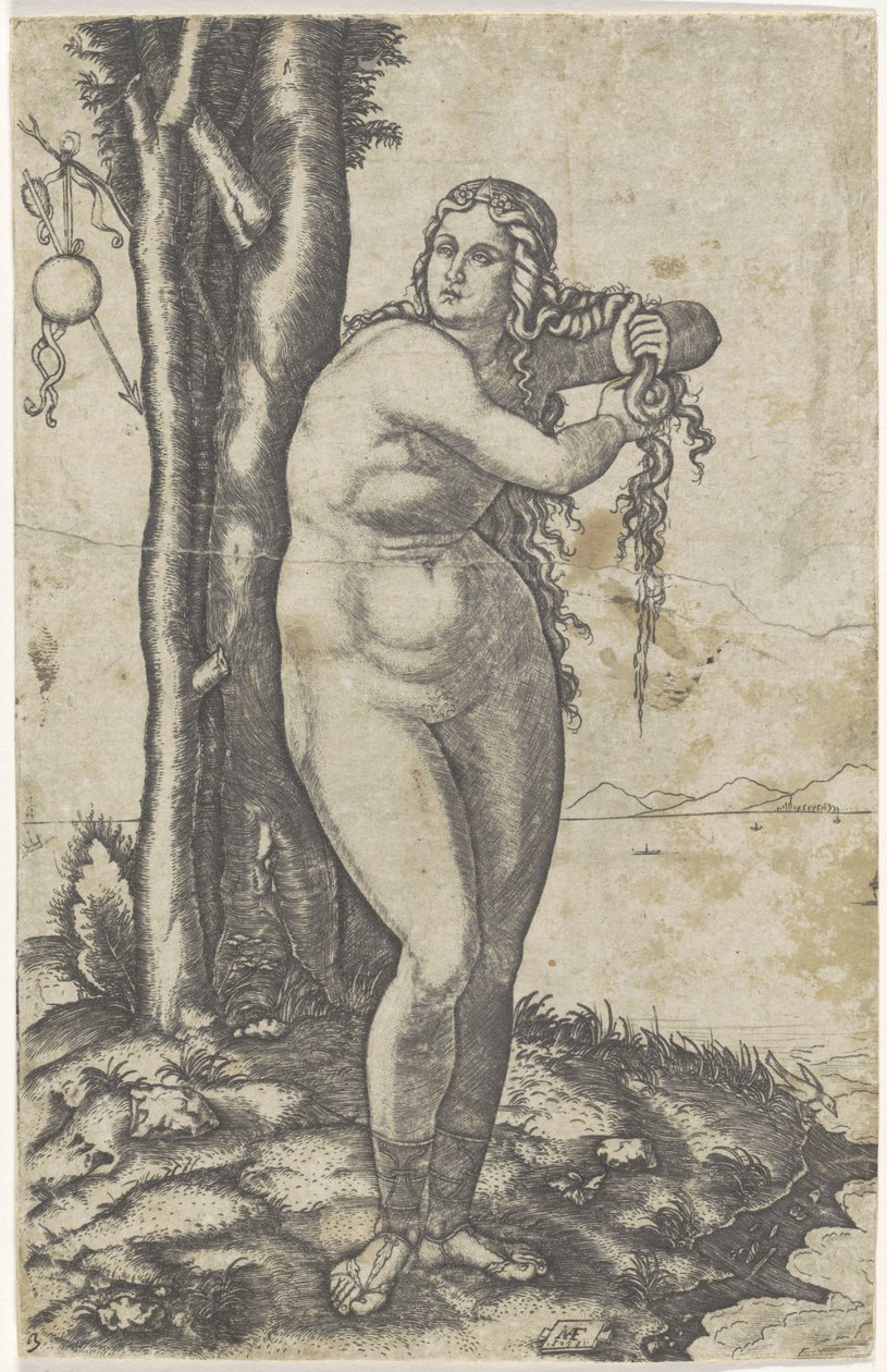 Venere sulla riva che strizza l