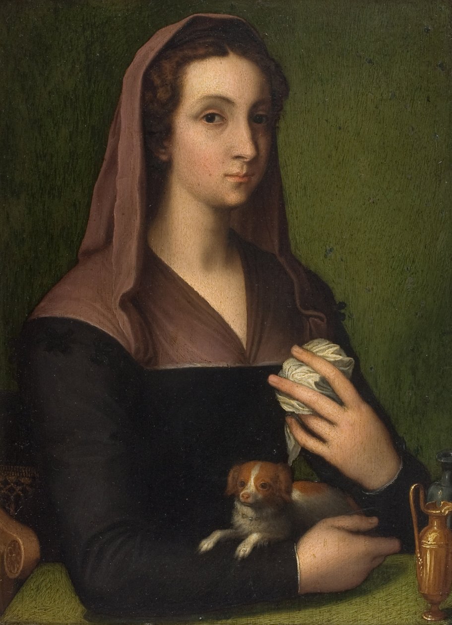 Ritratto di una signora da Marcello (follower of) Venusti
