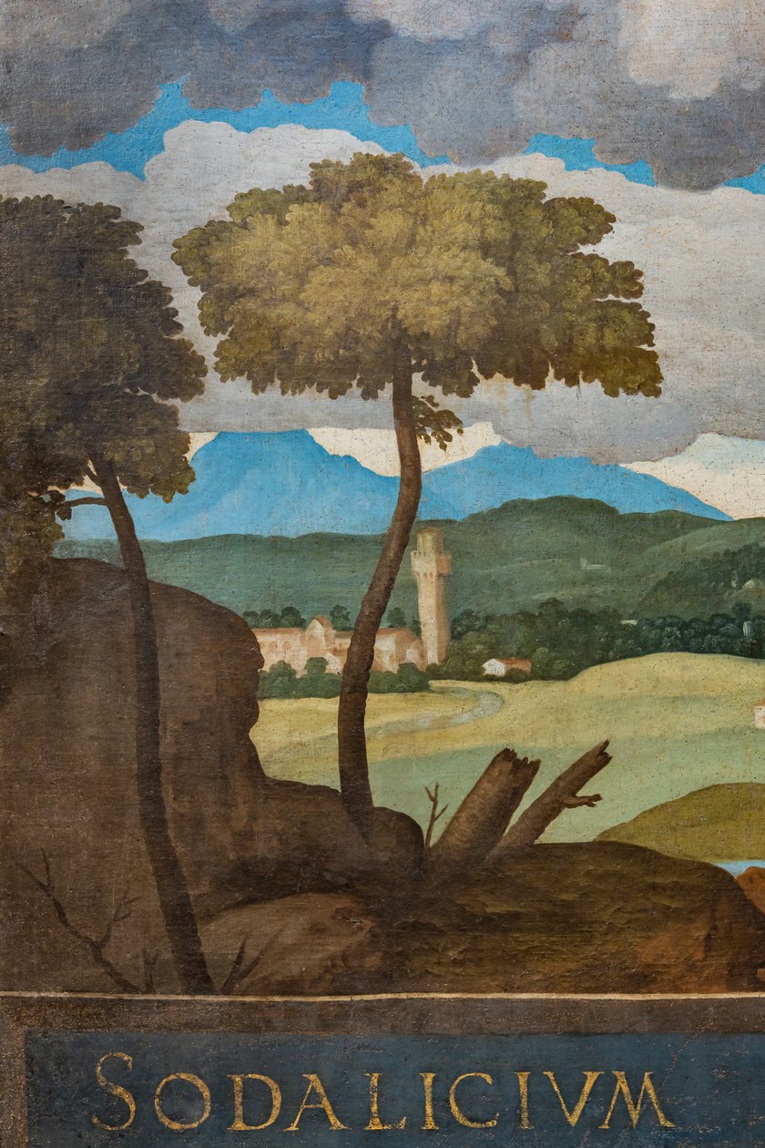 Dettaglio della città di Vicenza da Marcello Fogolino