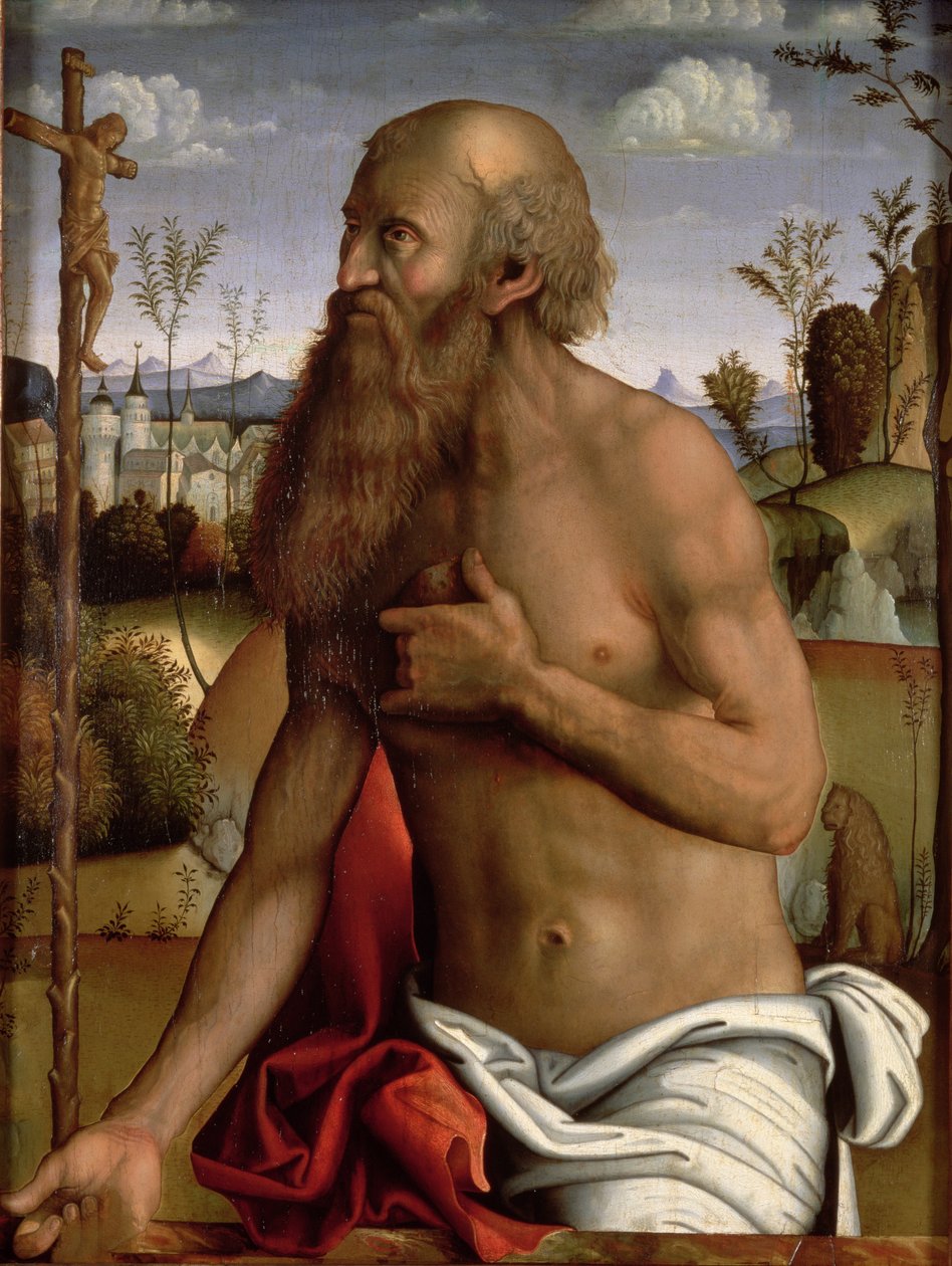 San Girolamo in penitenza da Marco Meloni