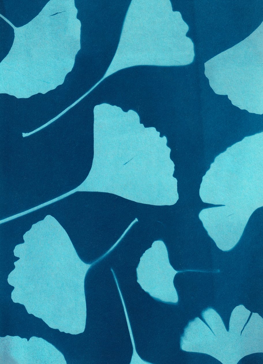 Ginkgo biloba 146, 2023 (cianotipia, tecnica mista) da Marco Campedelli