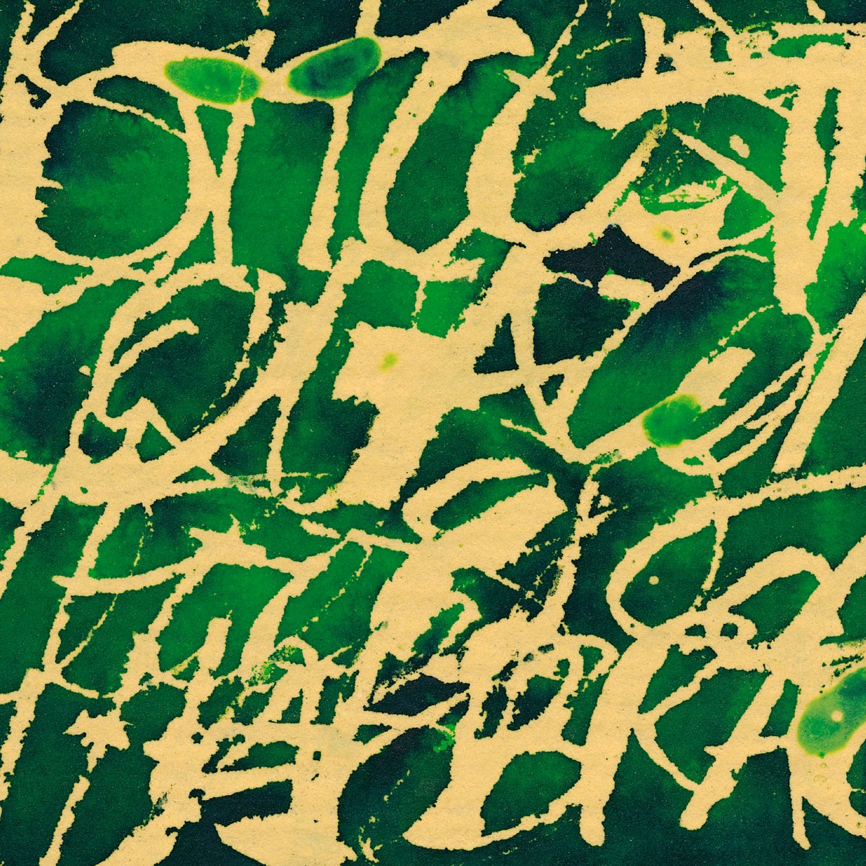 Scrittura verde, 2002 (tecnica mista) da Marco Campedelli