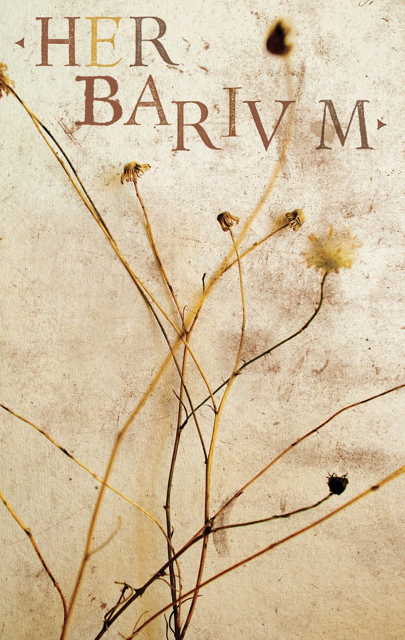 Herbarium, 2014 (tecnica mista) da Marco Campedelli