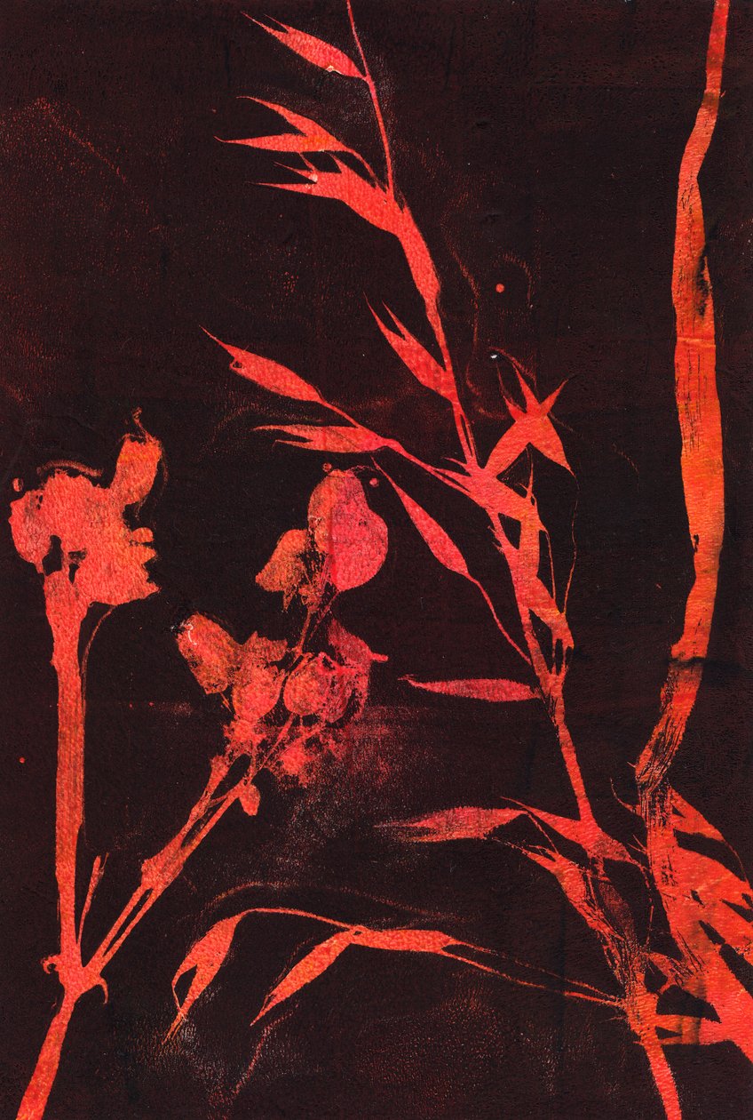 Foglie rosse, 2024 (monotipo) da Marco Campedelli