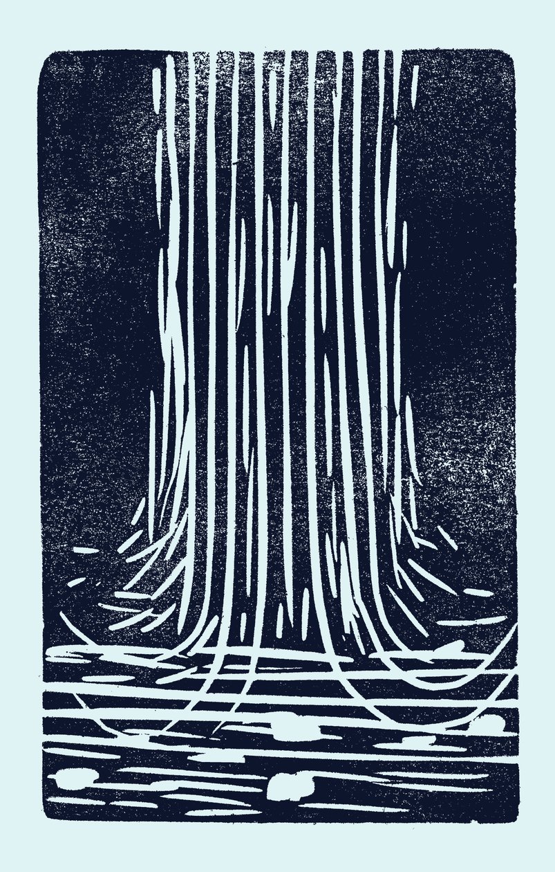 Cascata, 2014 (linoleum su carta) da Marco Campedelli