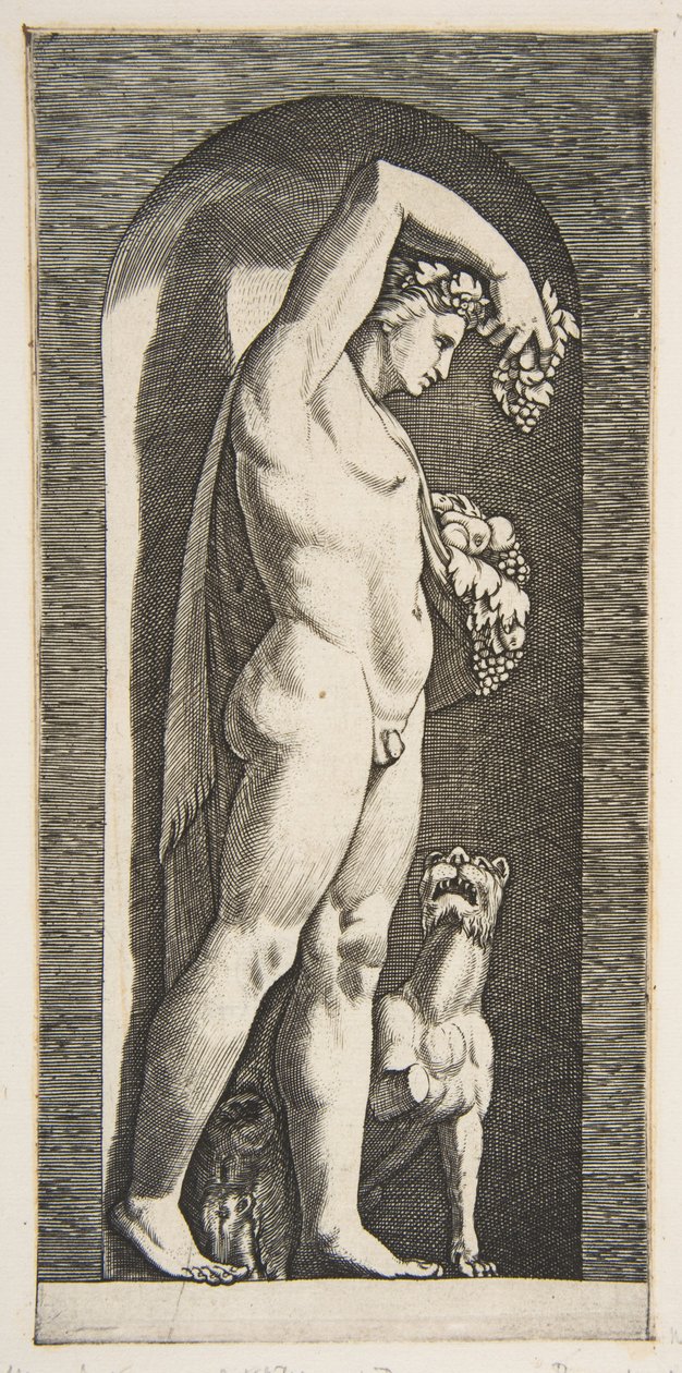 Bacco in piedi in una nicchia che tiene uva nella mano destra alzata, frutta nella sua..., ca. 1515-27 da Marco Dente