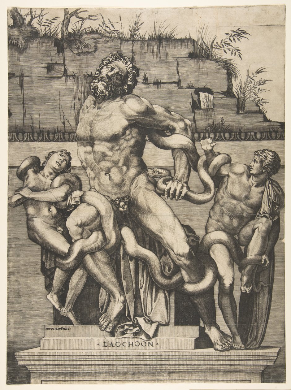 Laocoonte e i suoi figli attaccati dai serpenti da Marco Dente