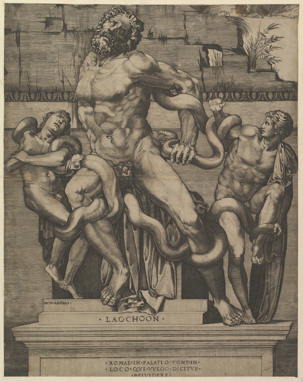 Speculum Romanae Magnificentiae: Laocoonte, XVI secolo da Marco Dente