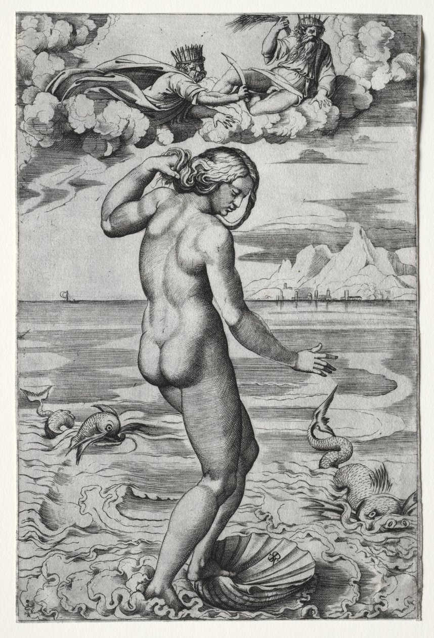 La nascita di Venere da Marco Dente