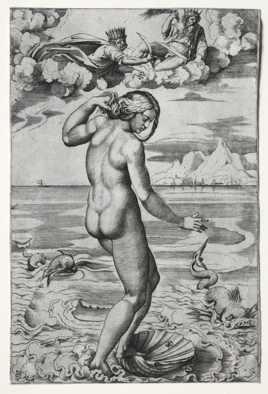 La nascita di Venere, c. 1516 da Marco Dente
