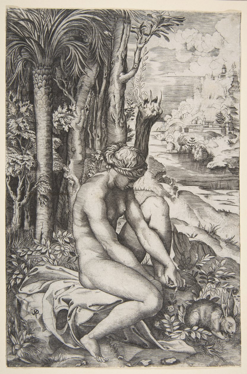 Venere che rimuove una spina dal piede sinistro mentre è seduta su un panno accanto agli alberi da Marco Dente