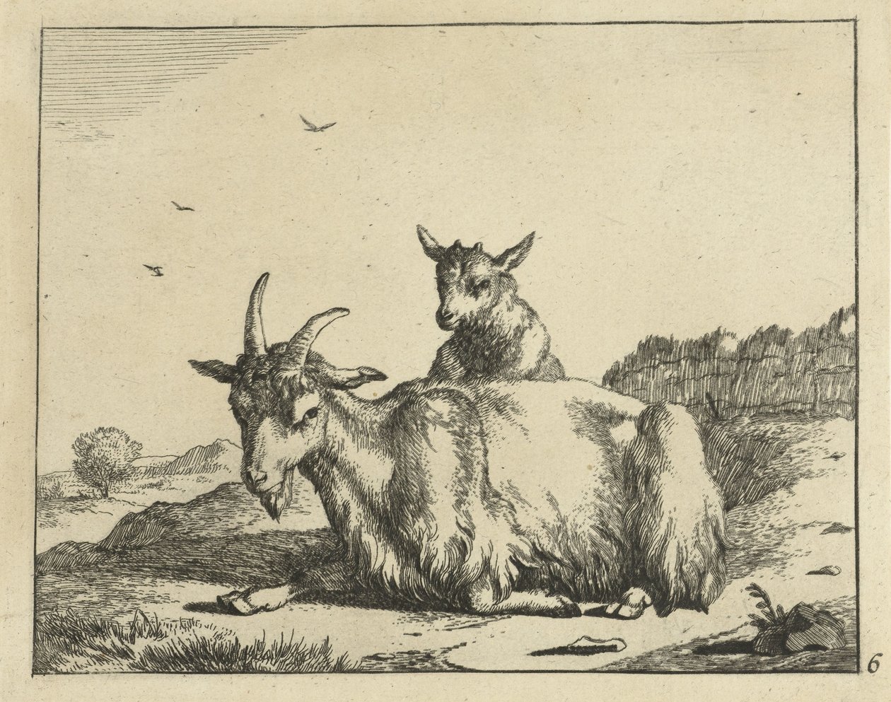 Capra sdraiata con agnello da Marcus de Bye