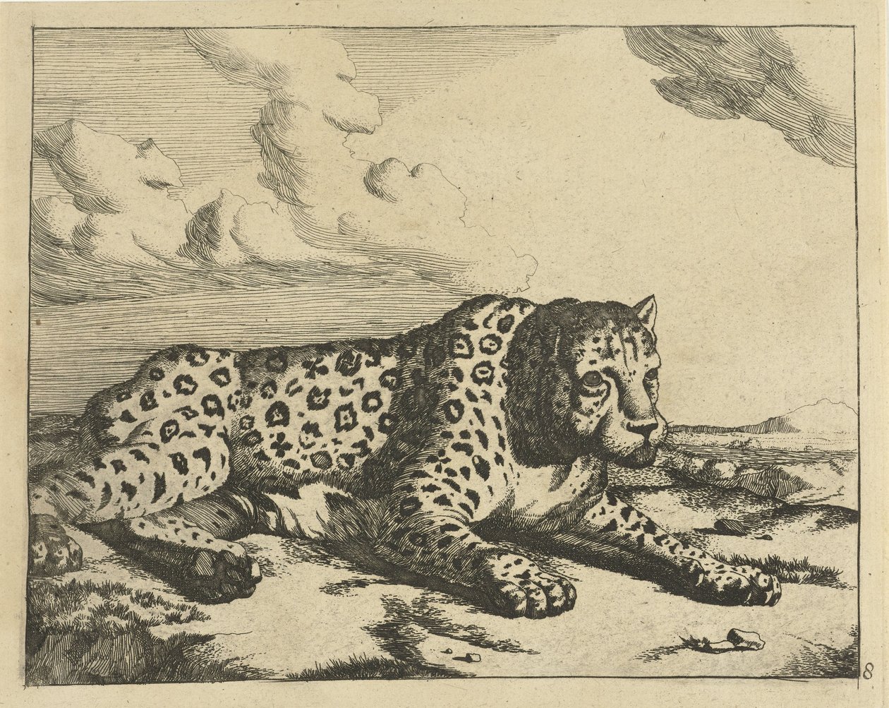 Leopardo sdraiato a destra, le zampe verso lo spettatore da Marcus de Bye