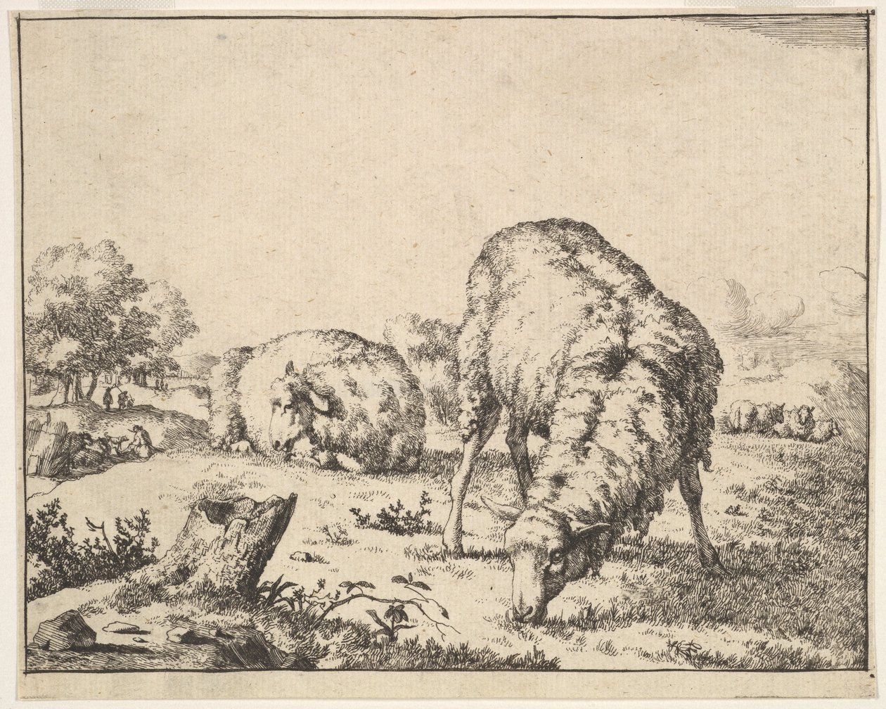 Pecora, da una serie di 16 piatti, 1664 da Marcus de Bye