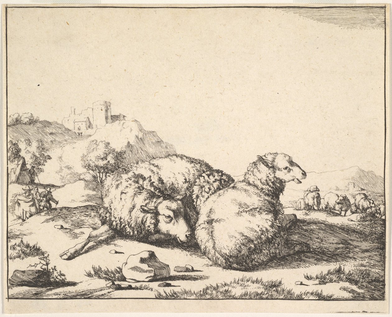 Pecore, da una serie di 16 piatti, 1664 da Marcus de Bye