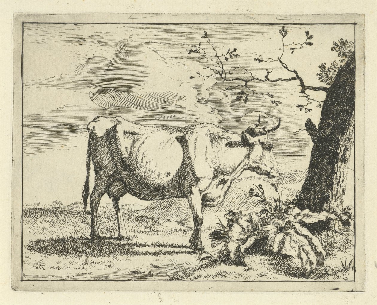 Mucca in piedi vicino a un albero da Marcus de Bye