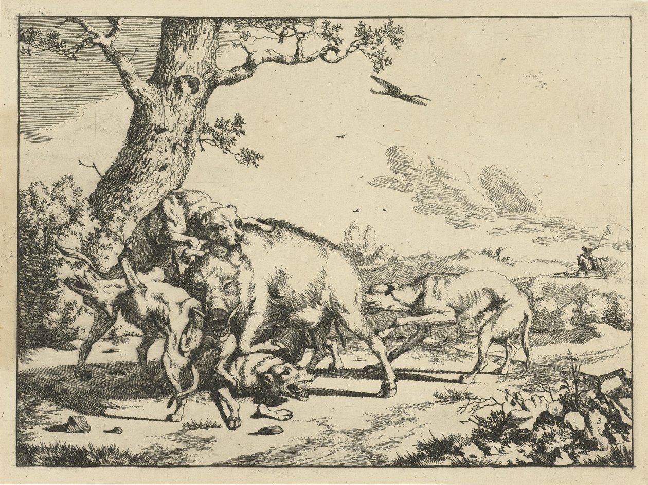 Cinghiale attaccato da quattro cani da caccia da Marcus de Bye