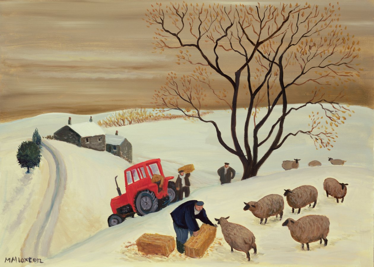 portare il fieno alle pecore con il trattore da Margaret Loxton