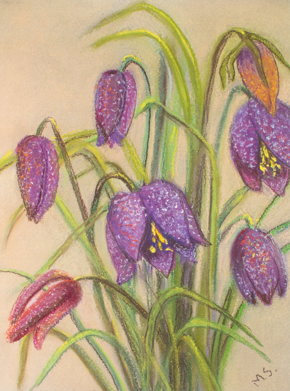 Mazzo di Fritillaria, 2015 da Margo Starkey