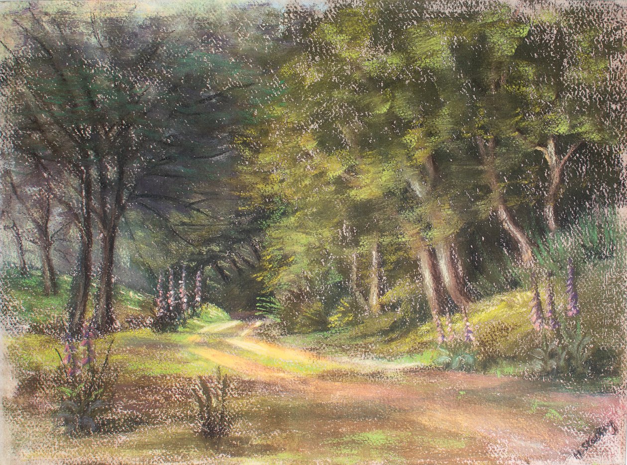 Passeggiata nel Bosco, Somerset, 1995 da Margo Starkey
