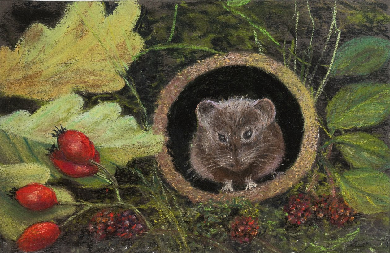 Topo di Campagna nel Tubo di Scarico, 2020 da Margo Starkey