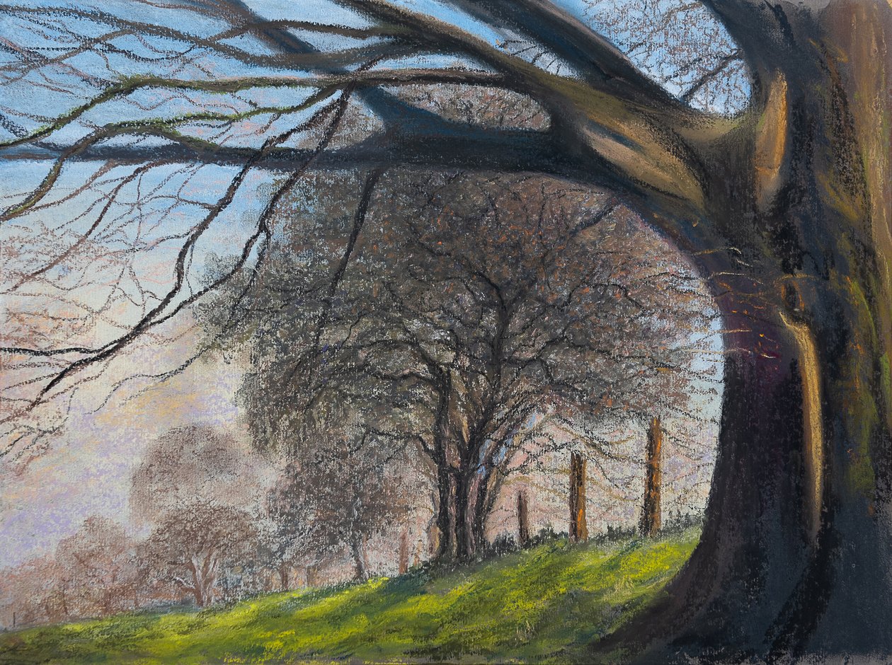 Alberi sferzati dal vento...Shrewsbury da Margo Starkey