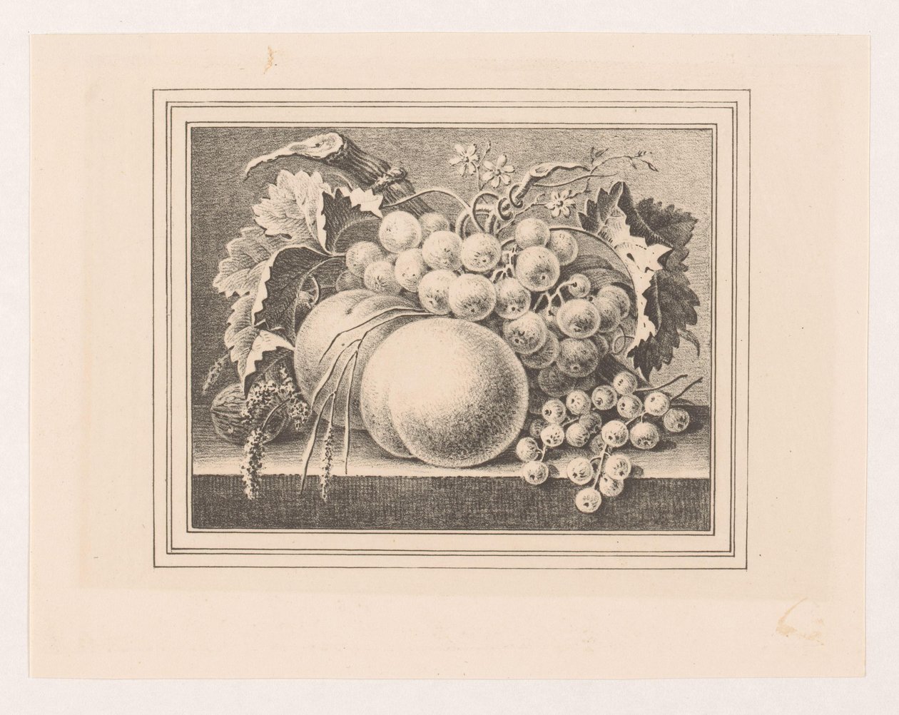 Composizione con frutti in una cornice da Maria Geertruida de Goeje Barbiers (attributed to)