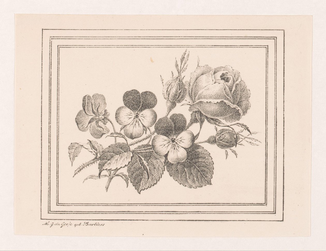 Rose e violette da Maria Geertruida de Goeje Barbiers