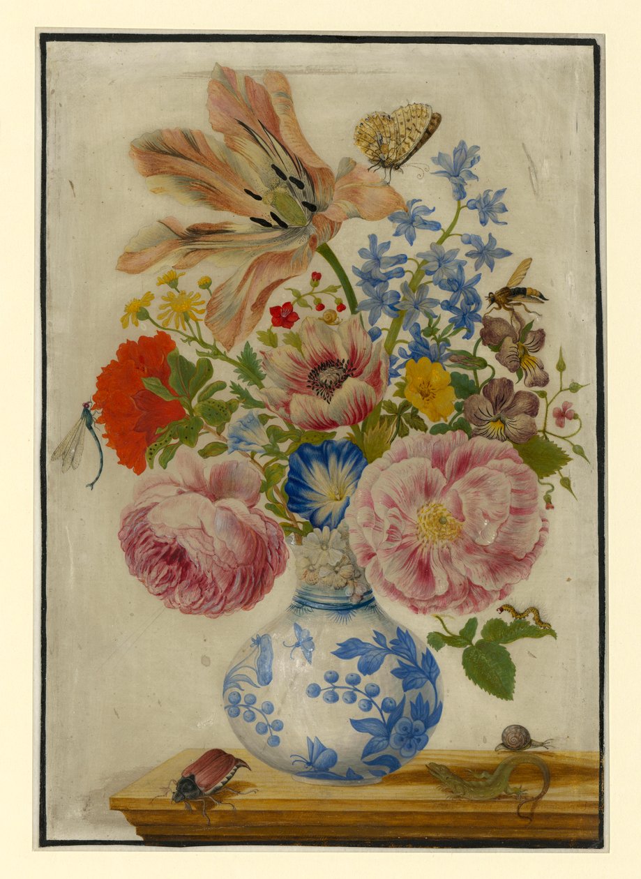 Vaso cinese con rose, papaveri e garofani da Maria Sibylla Merian