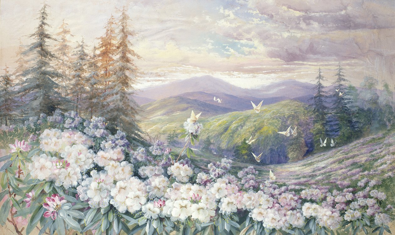 Paesaggio Primaverile da Marian Ellis Rowan