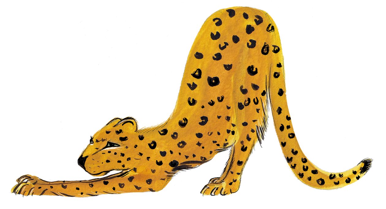 Big Cat Stretch, 2020 (acquerello su carta) da Marianna Kulukundis