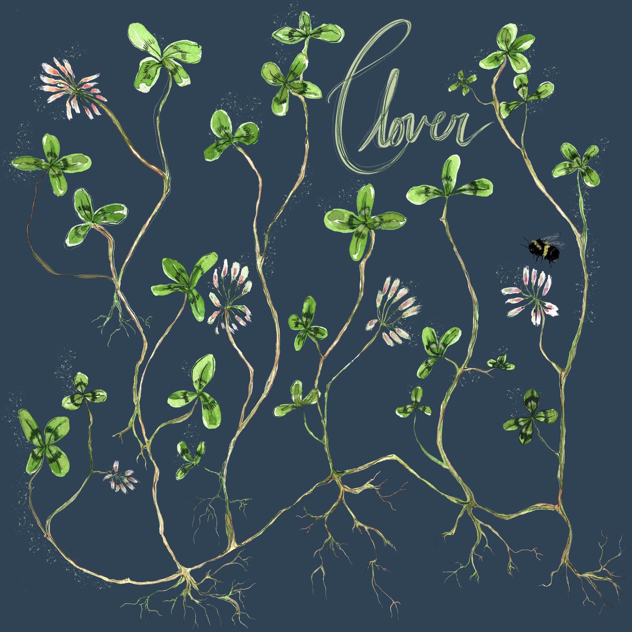 Trifoglio botanico, 2021 (acquerello su carta) da Marianna Kulukundis