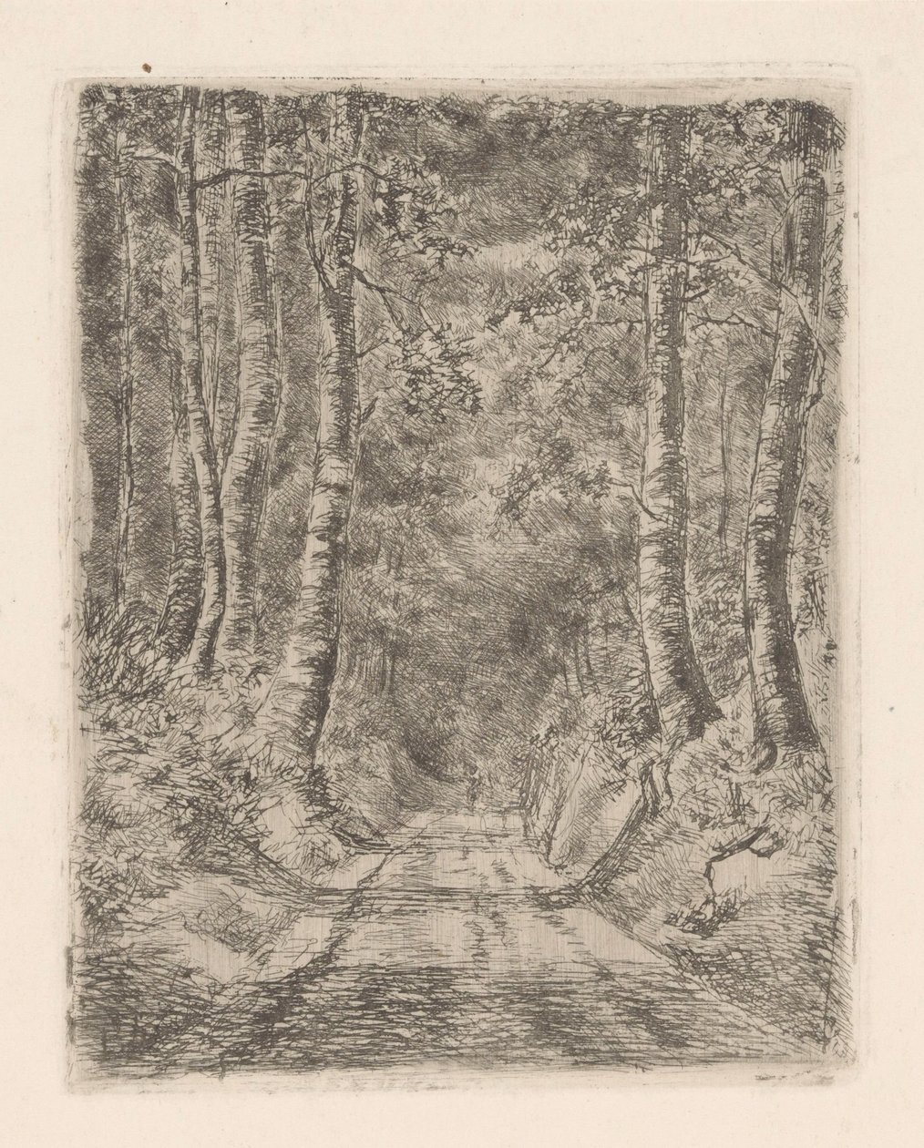 Bosco lungo una strada incavata da Marie Adolphine van der Goes van Dirxland