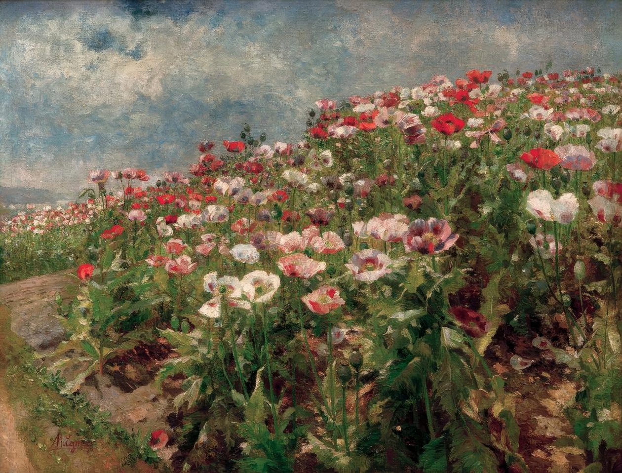 Papavero in fiore, motivo da St. Georgen vicino a Melk da Marie Egner